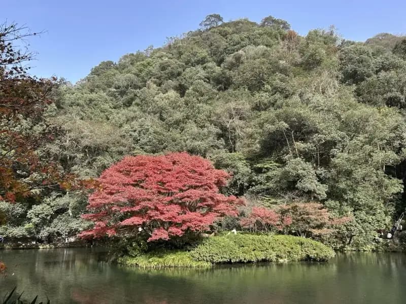 Hangzhou Deep-Dive 2-Day Itinerary: From Imperial Gardens to Bamboo Forests