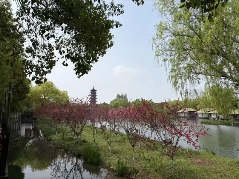 Tour de 1 Día por el Pueblo Acuático de Wuzhen: Guía Completa del Pueblo Canalero Más Hermoso de China photo 1