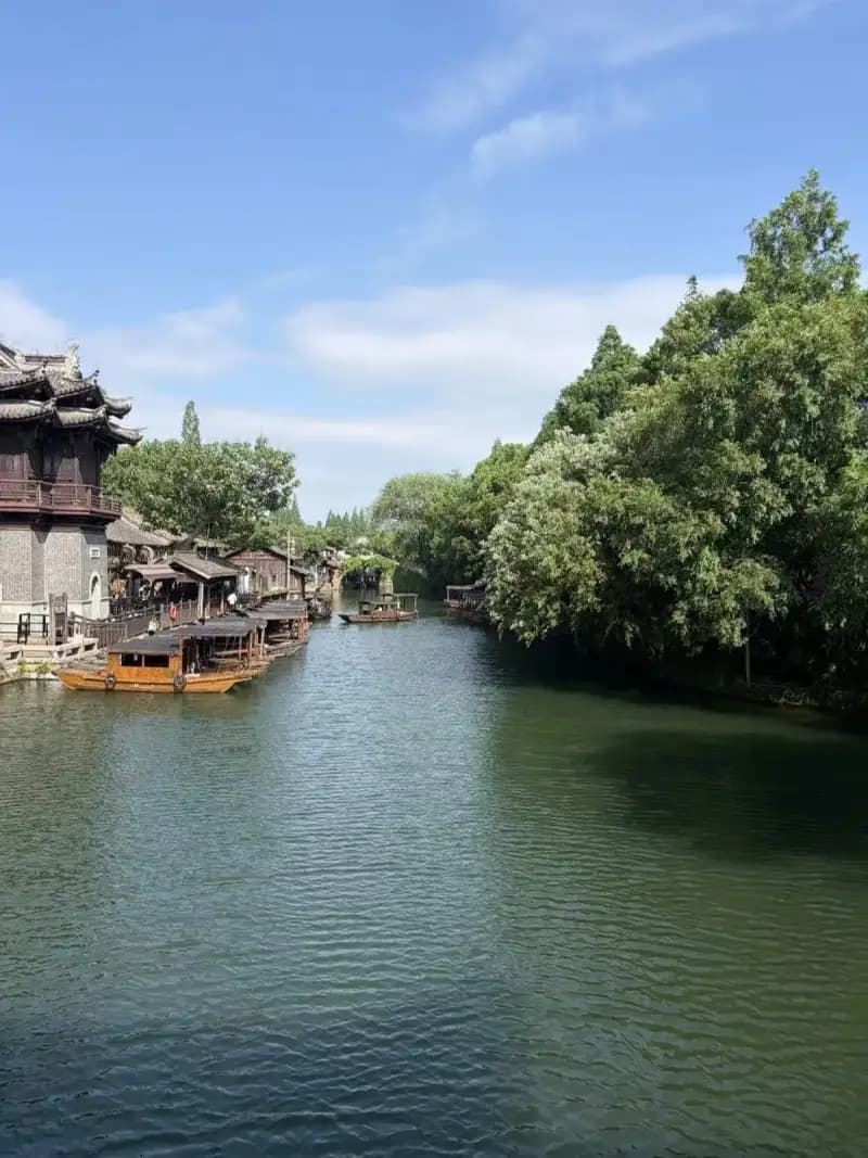 Wuzhen Water Town 1-Day Tour: A Complete Guide to China's Most Beautiful Canal Town