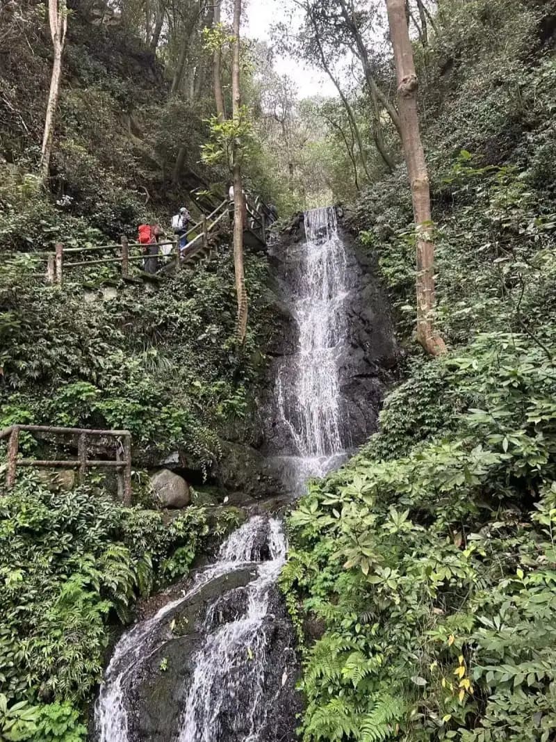 Longjing Tea Village Hiking Guide: Hangzhou's Most Beautiful Trail photo 1