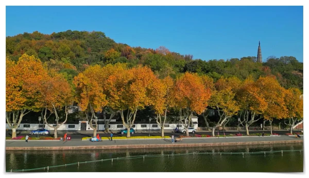 West Lake One-Day Tour: The Ultimate Itinerary