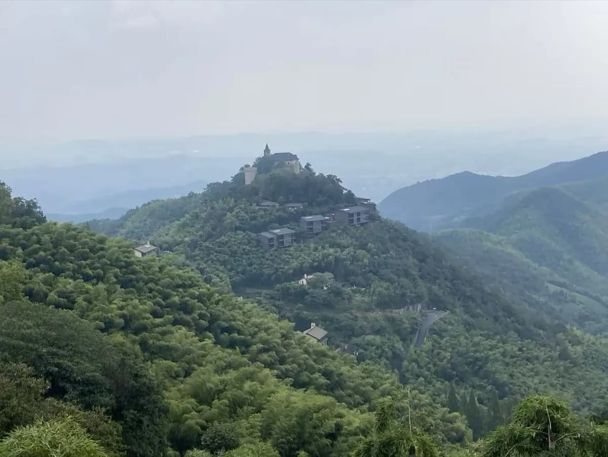 Moganshan Bamboo Forest: A Complete Escape Guide photo 1