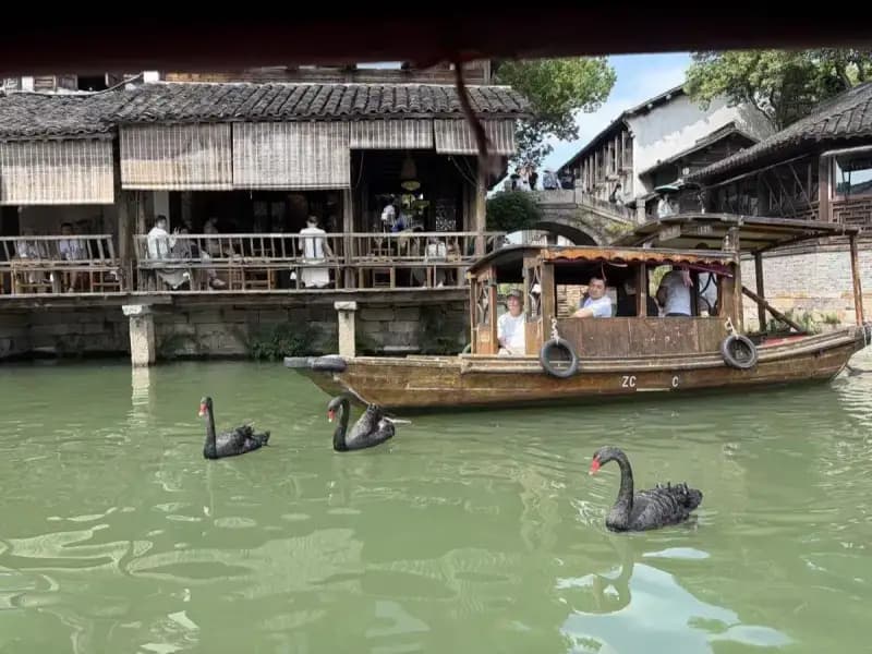 Wuzhen Water Town: The Complete Travel Guide