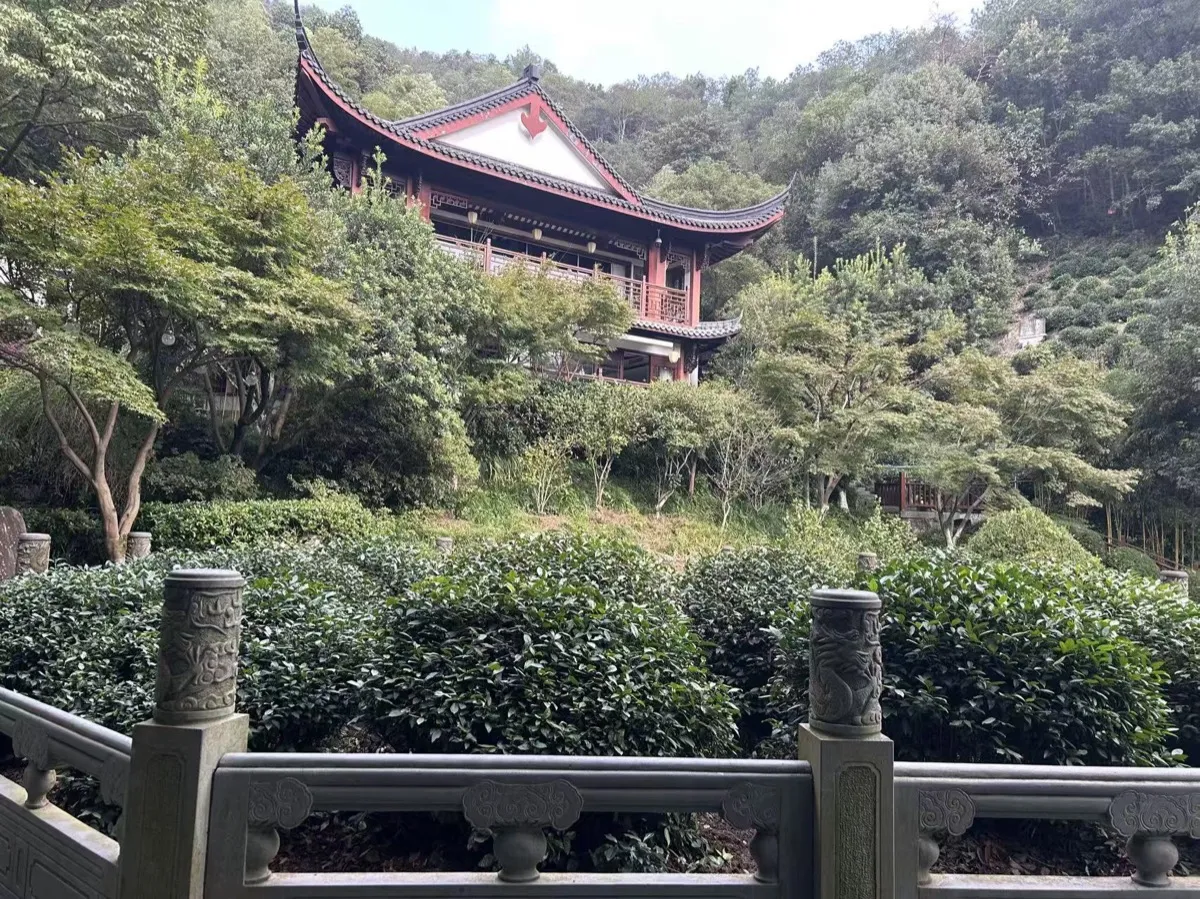 Longjing Tea Village Hiking Guide: Hangzhou's Most Beautiful Trail