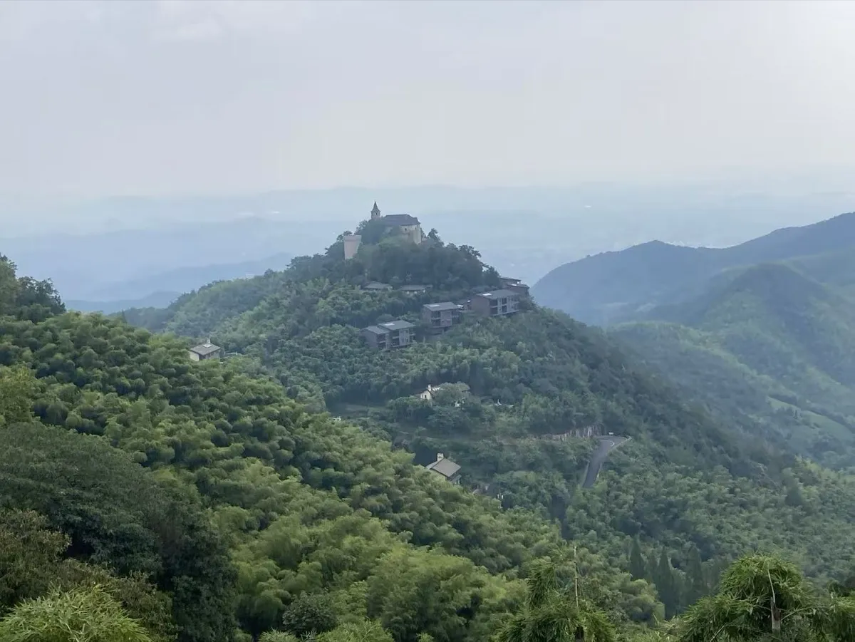 Moganshan Bamboo Forest: A Complete Escape Guide photo 1